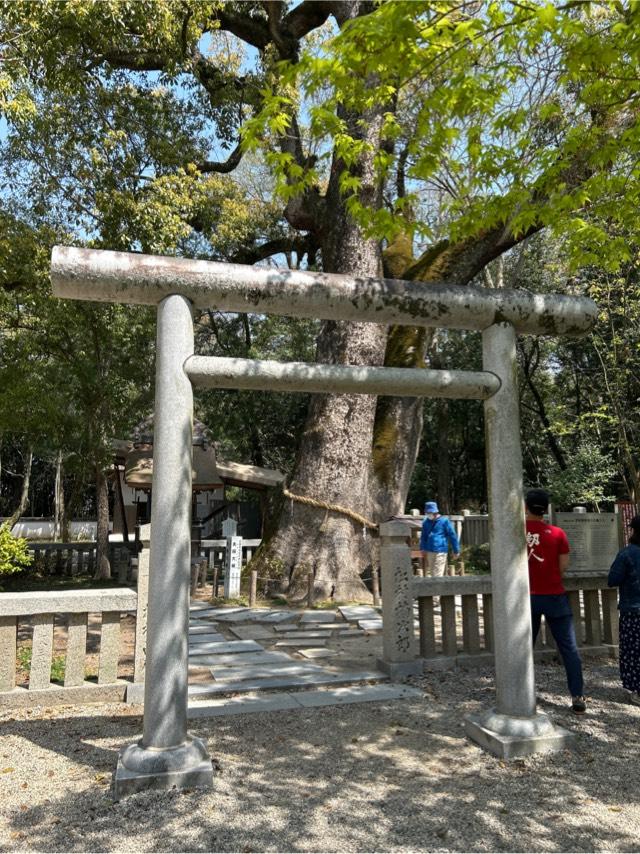 岩楠神社(伊弉諾神宮境内末社)の参拝記録6