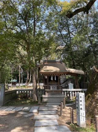 岩楠神社(伊弉諾神宮境内末社)の参拝記録(ねこチャリさん)