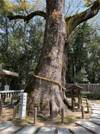 岩楠神社(伊弉諾神宮境内末社)の参拝記録(ねこチャリさん)
