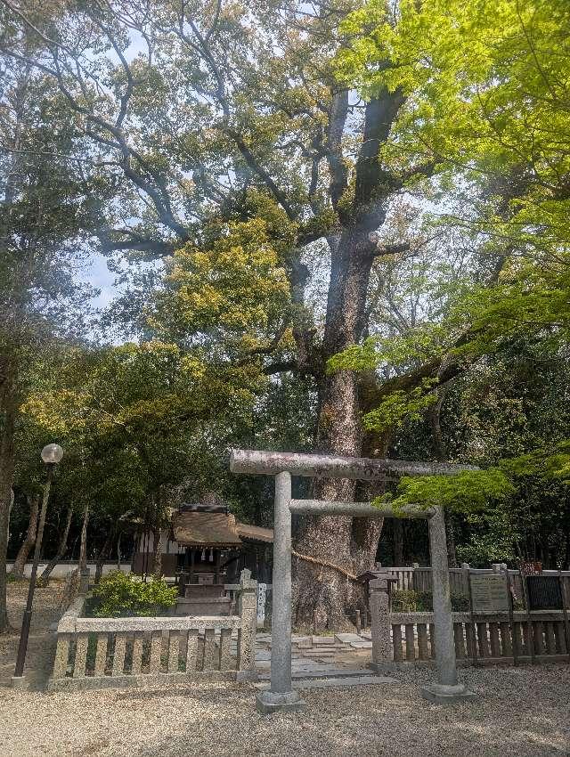 岩楠神社(伊弉諾神宮境内末社)の参拝記録5