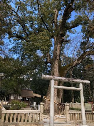 岩楠神社(伊弉諾神宮境内末社)の参拝記録(礼さん)