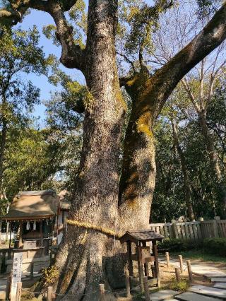 岩楠神社(伊弉諾神宮境内末社)の参拝記録(あっきーさん)