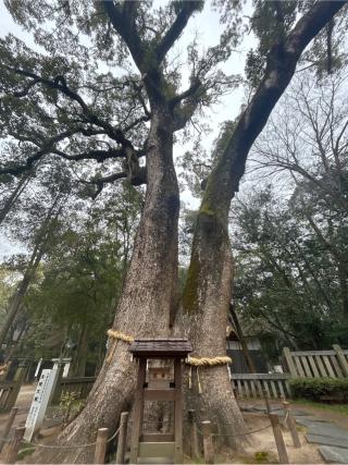 岩楠神社(伊弉諾神宮境内末社)の参拝記録(miyaさん)