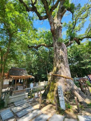 岩楠神社(伊弉諾神宮境内末社)の参拝記録(靈氣さん)