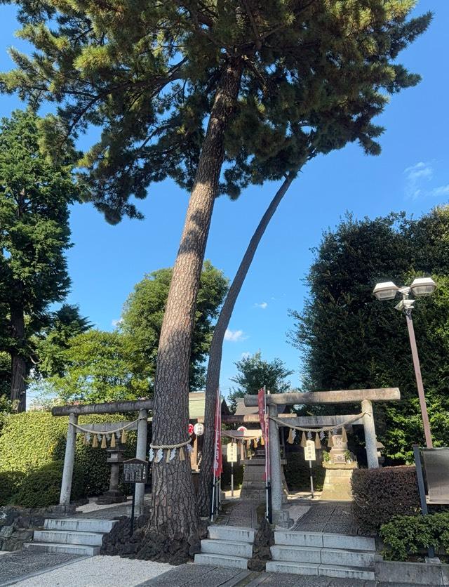 稲荷神社(沼袋氷川神社境内社)の参拝記録3