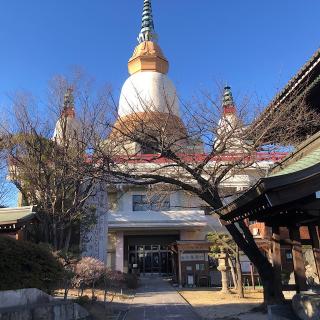 大乗教（大乗教総本山）の参拝記録(ワヲンさん)