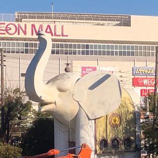 大乗教（大乗教総本山）の参拝記録(ワヲンさん)