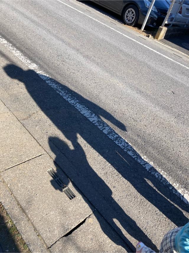大口眞神神社(鈴谷天神社境内社)の参拝記録5