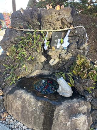 稲荷神社(水宮神社境内社)の参拝記録(⛩️🐍🐢まめ🐢🐍⛩️さん)