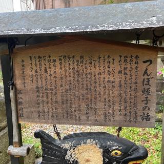 蛭子社（泥江縣神社）の参拝記録(ワヲンさん)