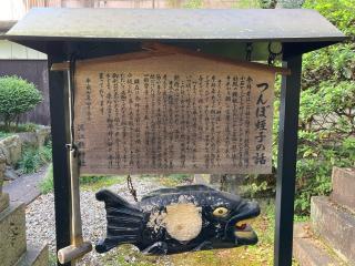 蛭子社（泥江縣神社）の参拝記録(恭子さん)