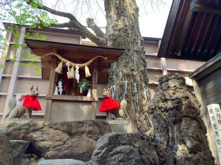 富士光稲荷（浅間神社）の参拝記録(恭子さん)