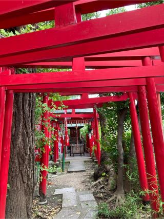 浅間稲荷社（冨士浅間神社）の参拝記録(恭子さん)