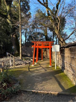 河崎社(下鴨神社)の参拝記録(⛩️🎠🐢まめ🐢🎠⛩️さん)