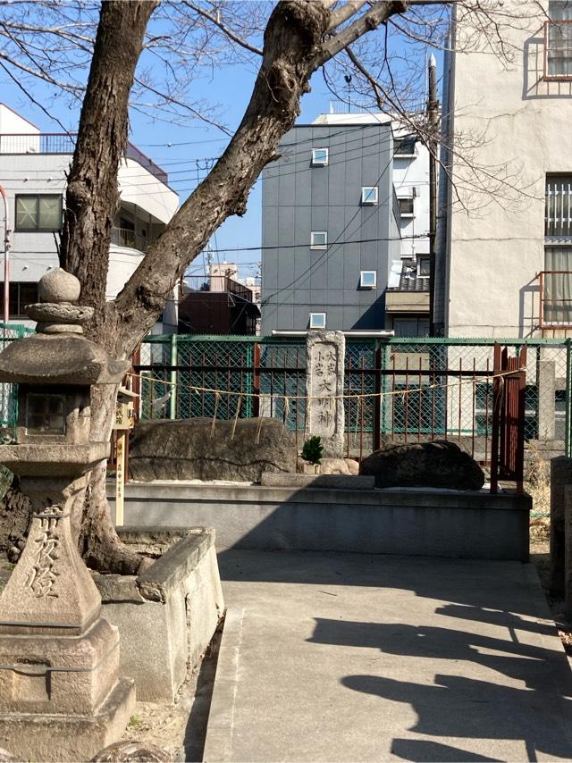 大岩・小岩大明神(久保神社 摂社)の参拝記録6