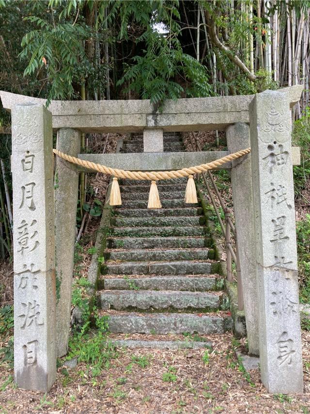 藤九郎稲荷神社の参拝記録(くっくさん)