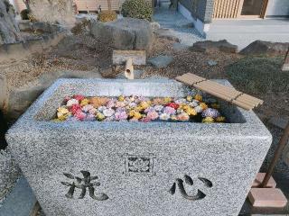 法華山　正覚寺の参拝記録(さとみさん)