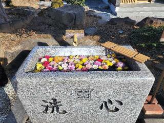 法華山　正覚寺の参拝記録(たけちゃん⚾さん)