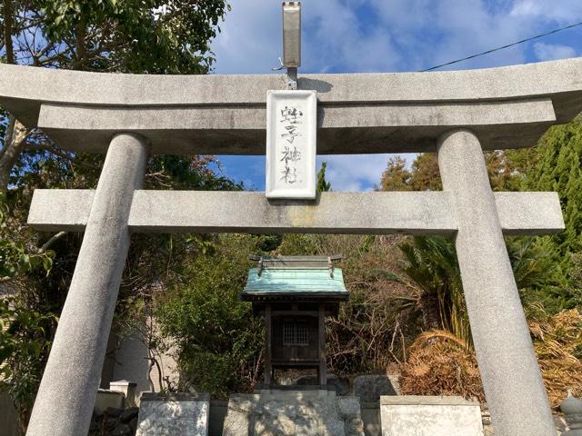 愛媛県松山市泊町１３７７付近 蛭子神社の写真1