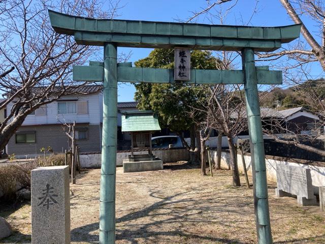 愛媛県松山市泊町５５２付近 蛭子神社の写真1
