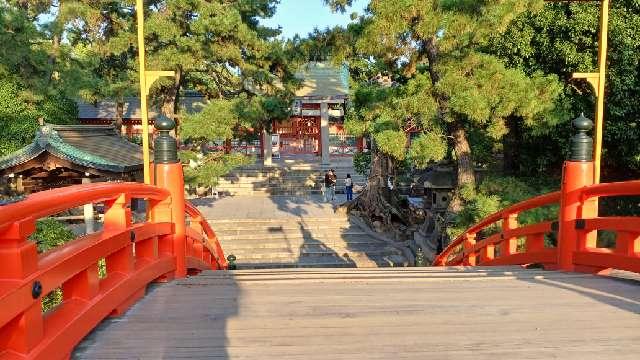 反橋（住吉大社境内）の参拝記録8