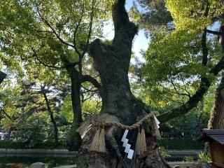 誕生石（住吉大社境内）の参拝記録(あきちゃんさん)