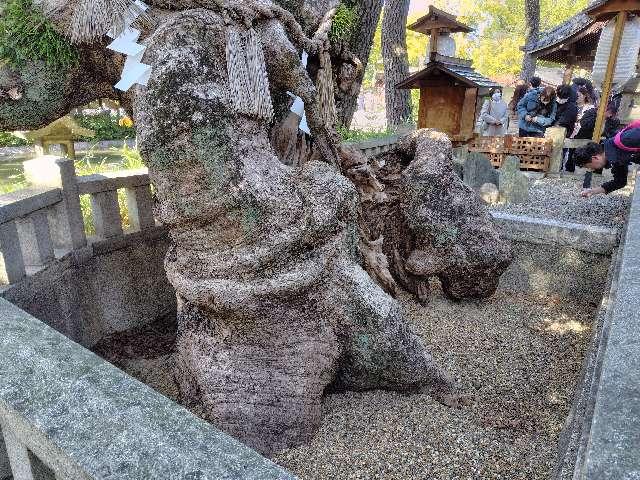 誕生石（住吉大社境内）の参拝記録6