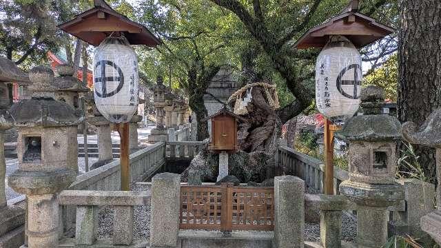 誕生石（住吉大社境内）の参拝記録5
