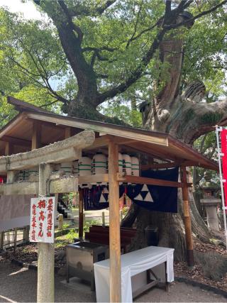 大楠の祠（住吉大社境内）の参拝記録(⛩️🐍🐢まめ🐢🐍⛩️さん)