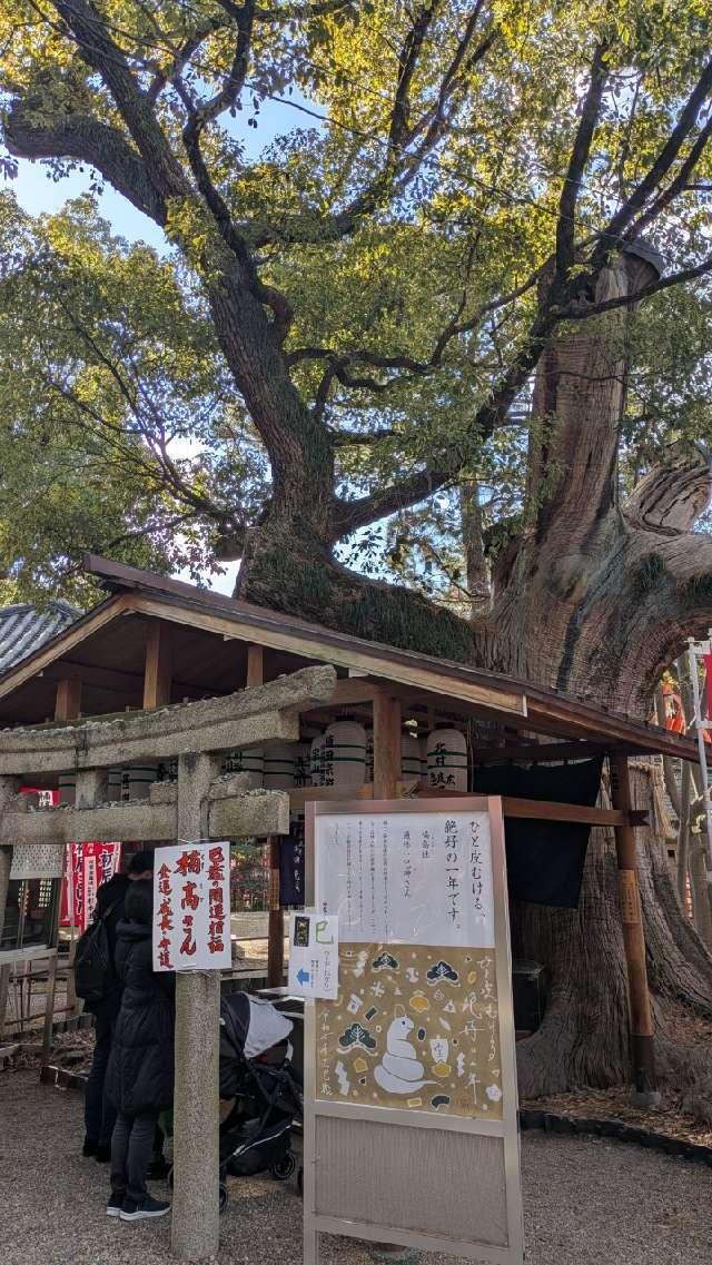 大楠の祠（住吉大社境内）の参拝記録5