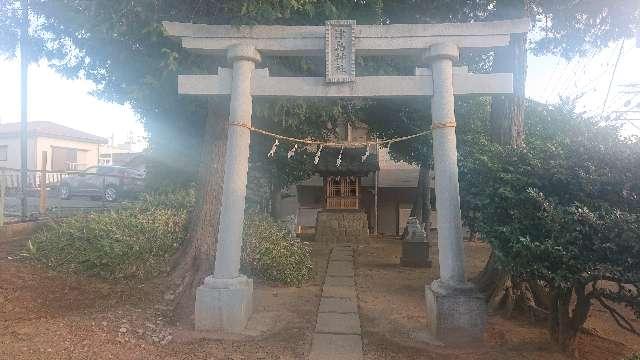 埼玉県さいたま市中央区本町東２丁目５−７ 津島神社の写真2