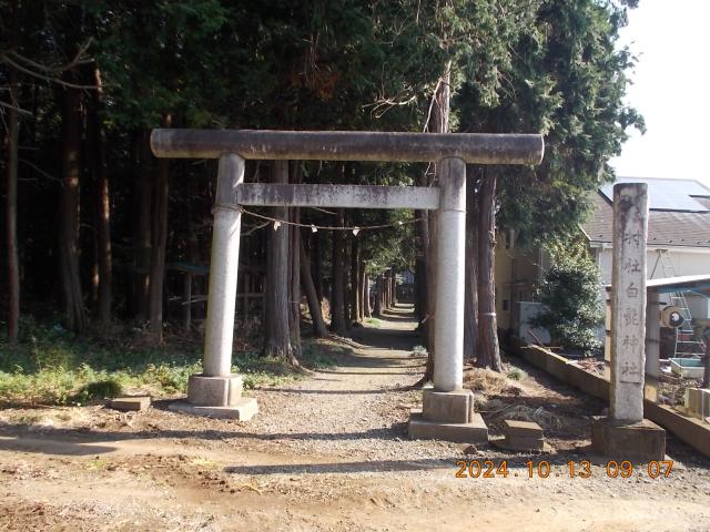 埼玉県日高市高萩1608 白鬚神社の写真2