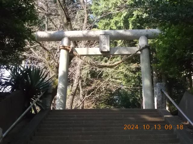 埼玉県日高市高萩1126-7 高萩神社の写真2