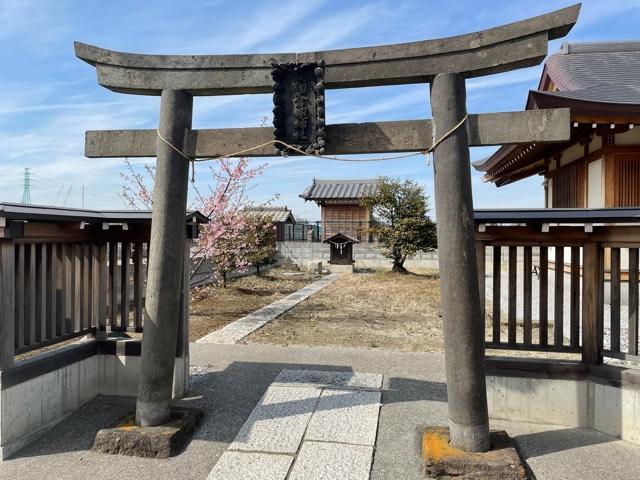 稲蒼魂神社の参拝記録(shikigami_hさん)