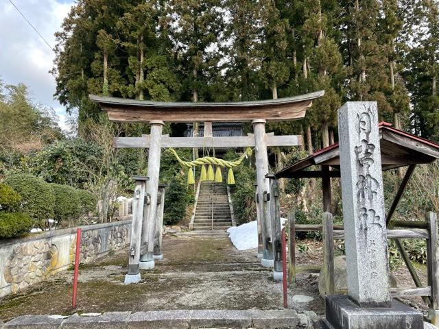 日吉神社の参拝記録(くじらさん)