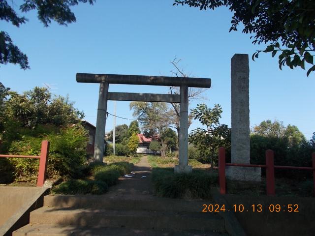 埼玉県日高市大谷沢484 白鬚神社の写真2