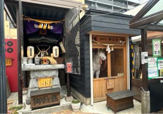 高市神社の参拝記録(竜胆の花さん)