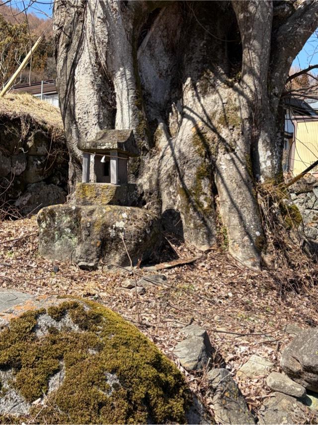 柏手社(諏訪大社 前宮)の参拝記録2