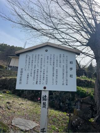 柏手社(諏訪大社 前宮)の参拝記録(⛩️🐍🐢まめ🐢🐍⛩️さん)
