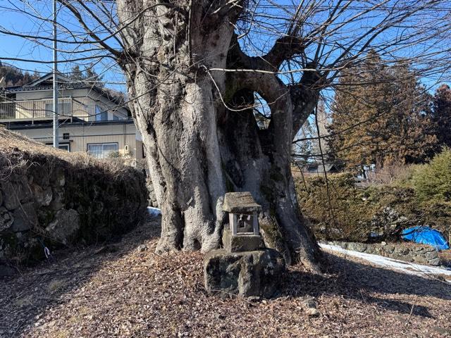 柏手社(諏訪大社 前宮)の参拝記録2