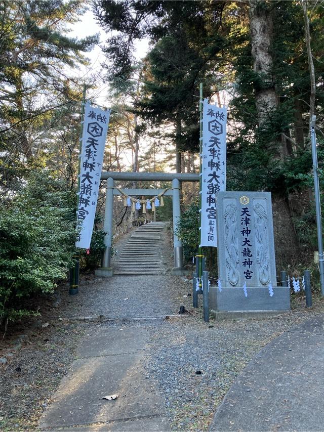 天津神大龍神宮の参拝記録3