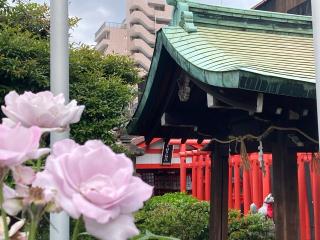 まねき稲荷（富士浅間神社）の参拝記録(恭子さん)