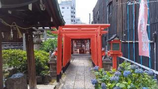 まねき稲荷（富士浅間神社）の参拝記録(ひろ神社仏閣さん)