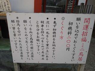 開運招福ミニ鳥居（大縣神社）の参拝記録(yukiさん)