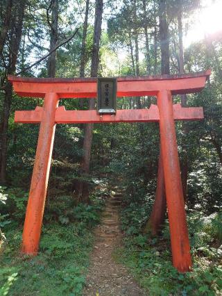 姫乃宮 奥宮（大縣神社）の参拝記録(Monoさん)