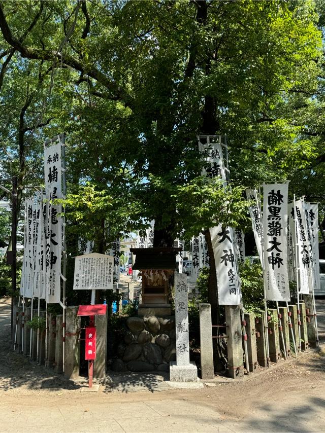 楠黒龍大神（闇之森八幡社）の参拝記録1