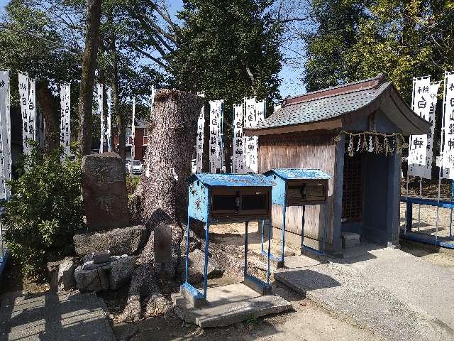 愛知県名古屋市中村区日比津町1-1 白山龍神社（白山神社）の写真1