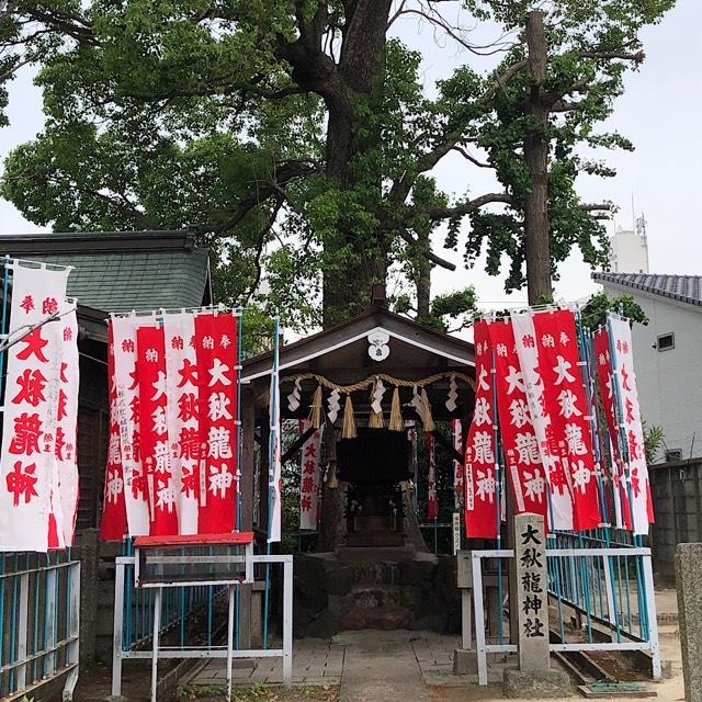 大秋龍神社（大秋八幡社）の参拝記録1