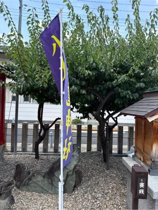 八大龍神社（山田天満宮境内社）の参拝記録(⛩️🎠🐢まめ🐢🎠⛩️さん)