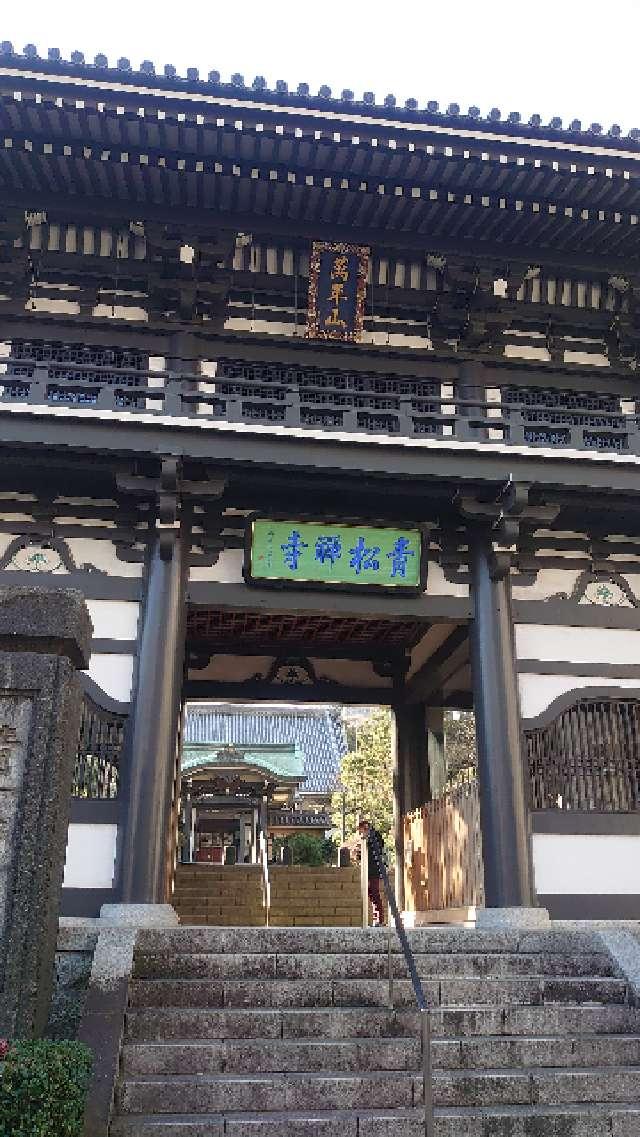 青松寺の参拝記録(りょうまさん)